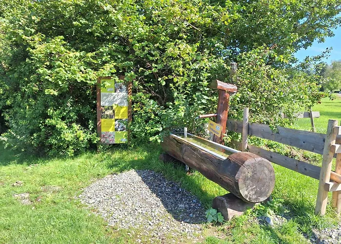 Fewo Allgaeuerle1605 Mit Hallenbad, Sauna, Tiefgarage Und Wlan