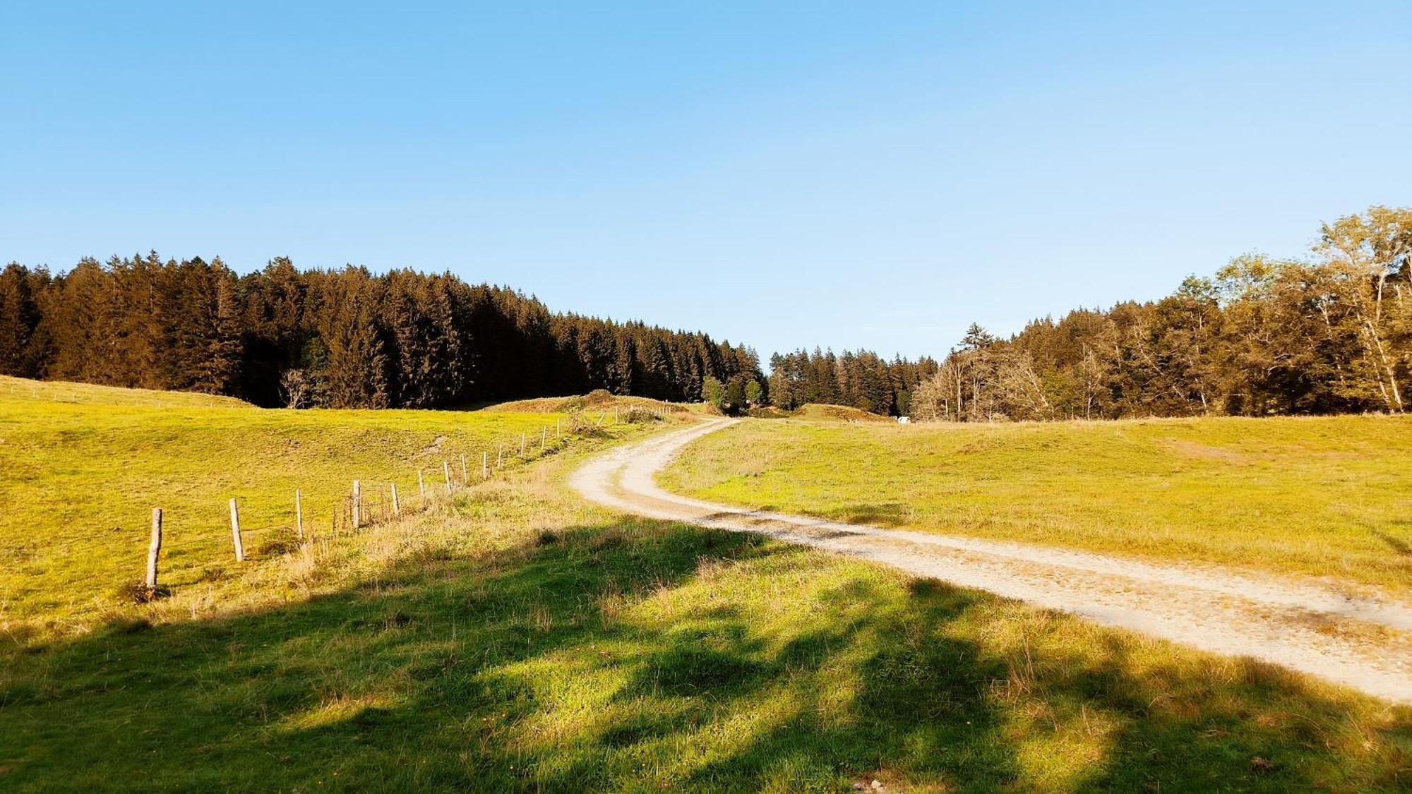 Allgaeuerle1605 Mit Hallenbad, Sauna, Tiefgarage Und Wlan Apartment
