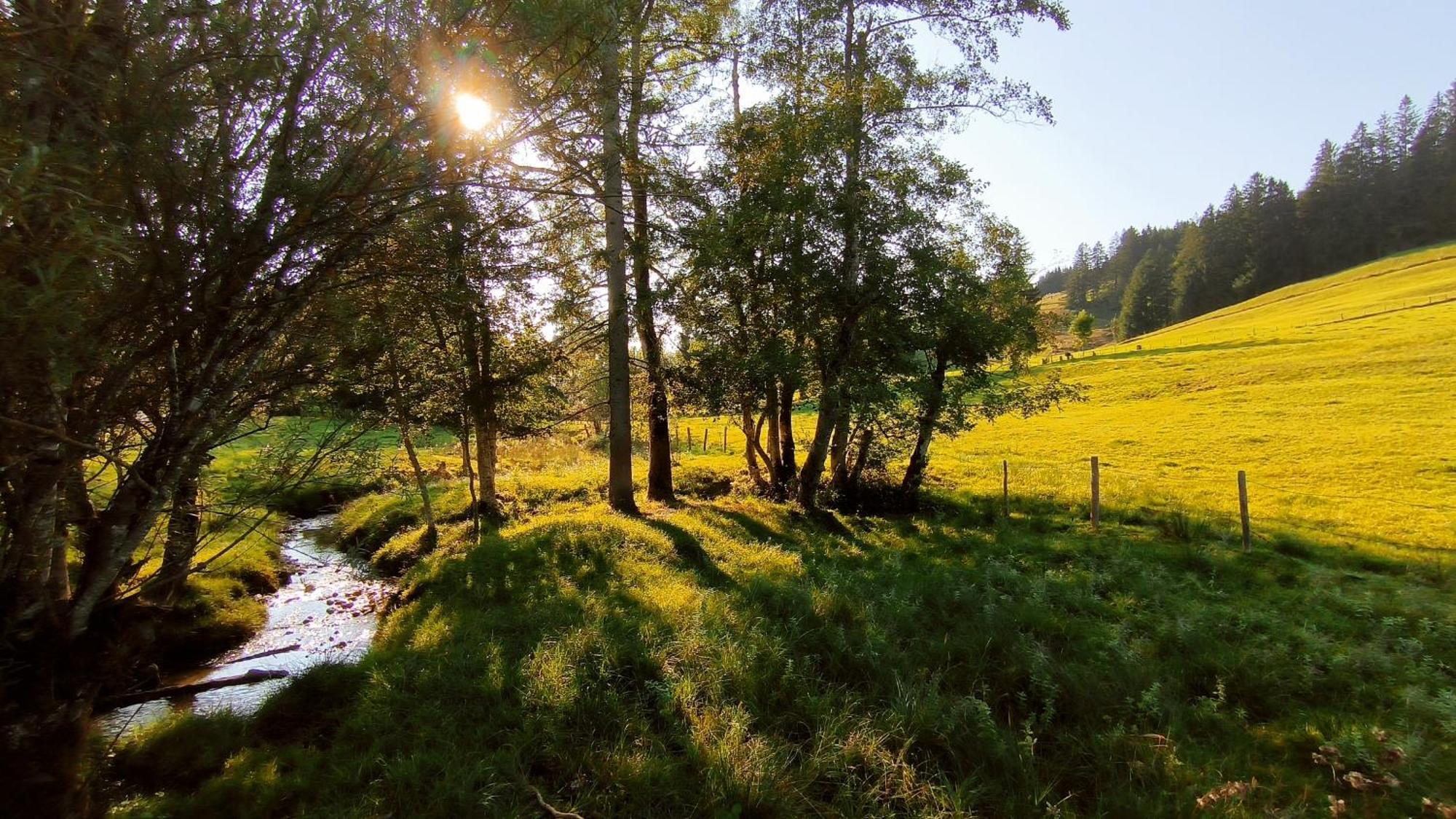 Allgaeuerle1605 Mit Hallenbad, Sauna, Tiefgarage Und Wlan Missen-Wilhams